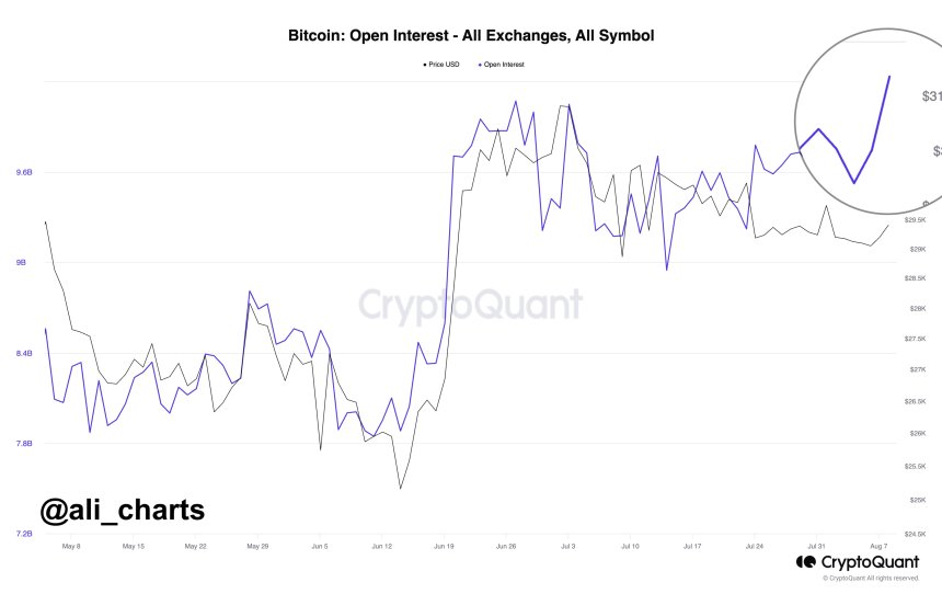  market bitcoin open interest martinez glimmer ali 