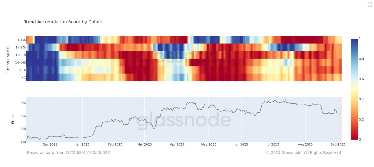  bitcoin blackrock price whales contrary data accumulating 