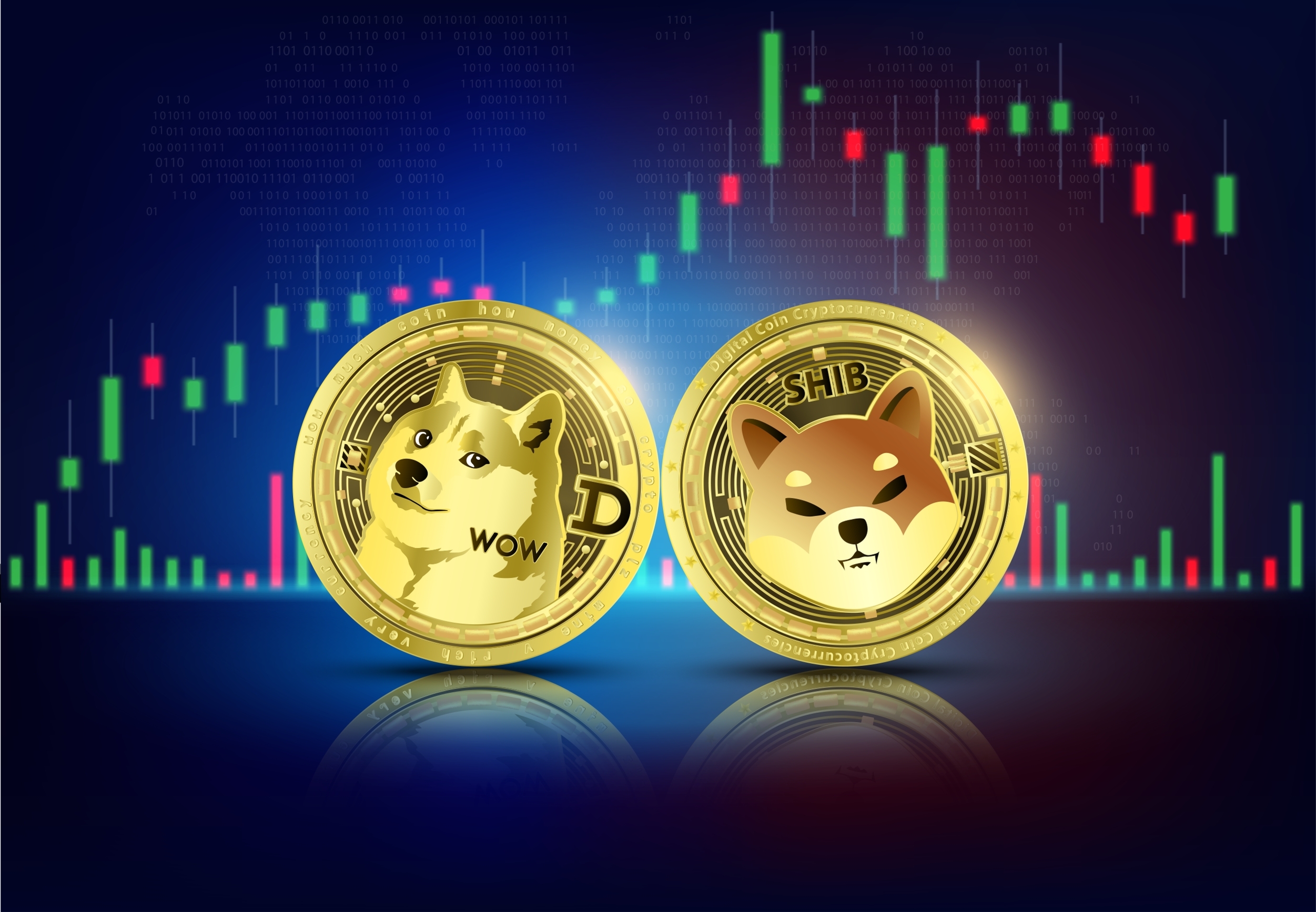 What Is Shiba Inu: An Explainer And SHIB Price Prediction
