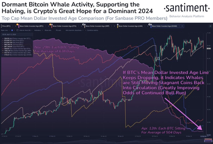Waiting For The Bitcoin Bull Run To Resume? Heres The Indicator To Watch For