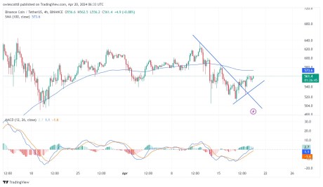 BNB Resilience: Holding Firm At $560  Whats Next?
