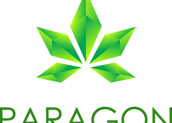 paragon logo big