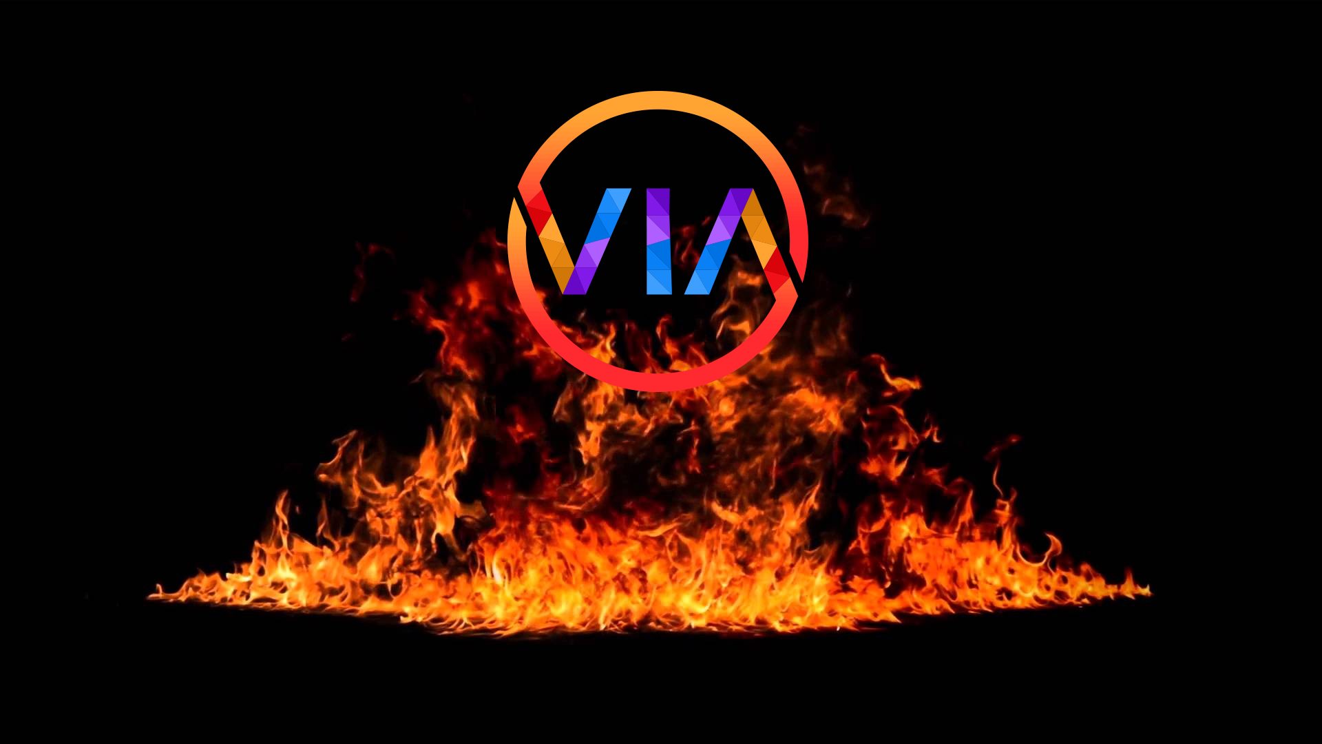 viabet, token sale, XVIA