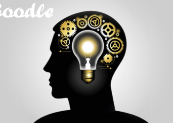 miBoodle: The Solution To Increasing Engagement And Understanding of Crypto