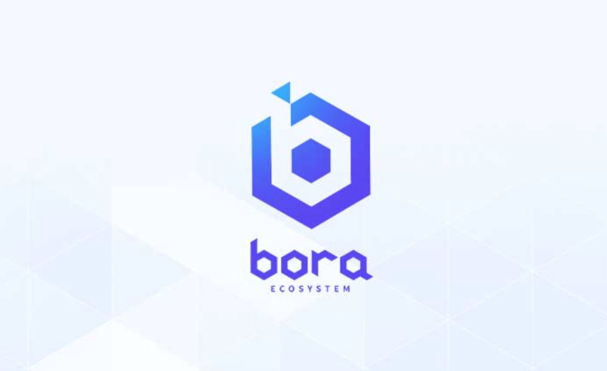 bora, testnet, mainnet