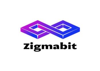 zigmabit