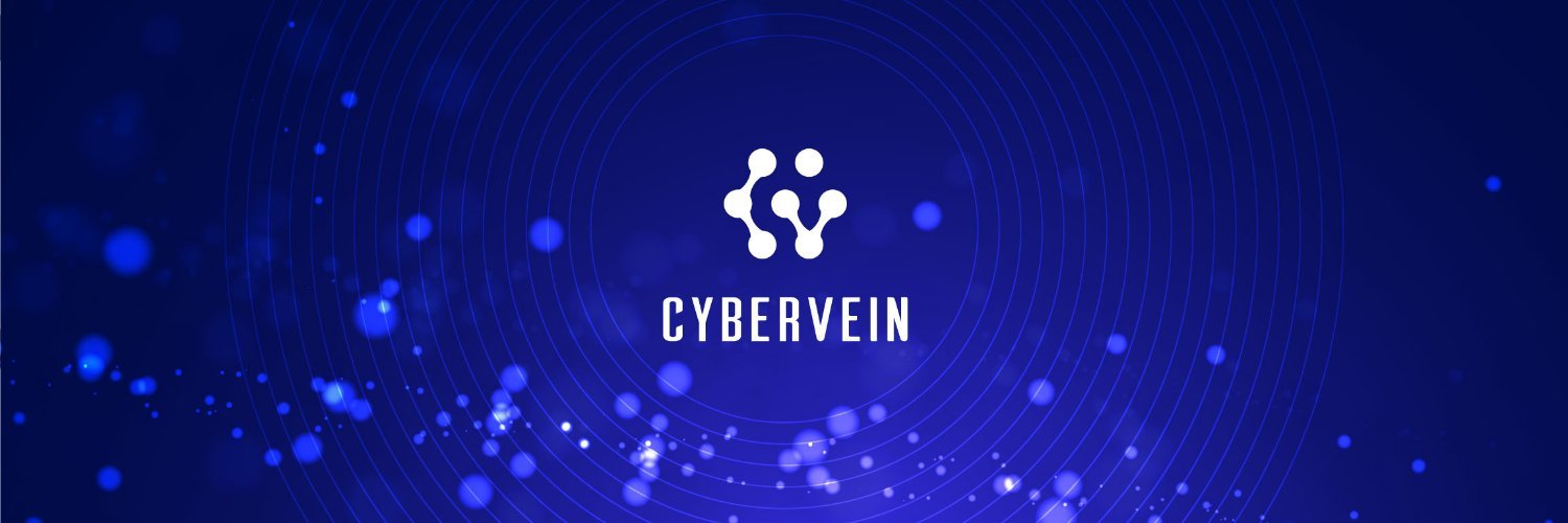 CyberVein