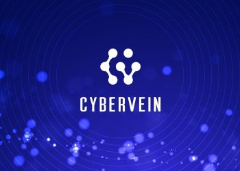 CyberVein