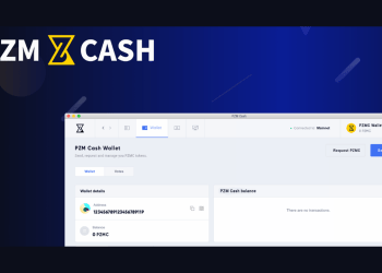 PZM Cash: A Global System for Efficient Crypto Payment