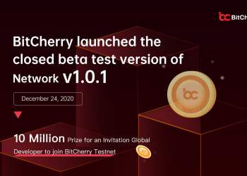 BitCherry Officially Launch Testnet, Leading the Distributed Commerce Era