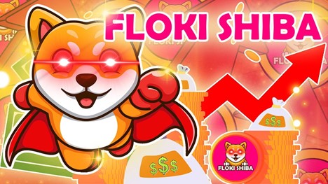 Floki Shiba