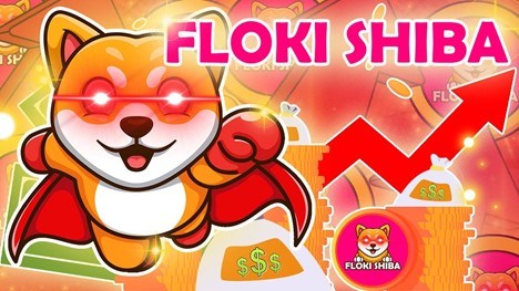 Floki Shiba