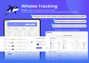 whales tracking