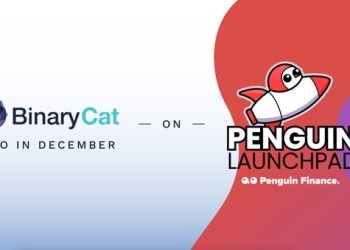 The Binary Cat IDO Is On the December Calendar!