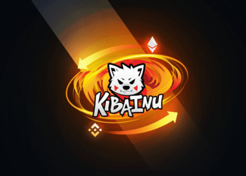 KIBA INU: Safeguarding Against Theft