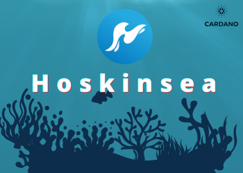 Announcing the $HSK Curation Token and Hoskinsea NFT Marketplace on Cardano