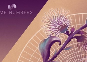 Viable Student Communal Building on the NFT Championed by Prime Numbers