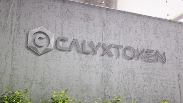 calyx token