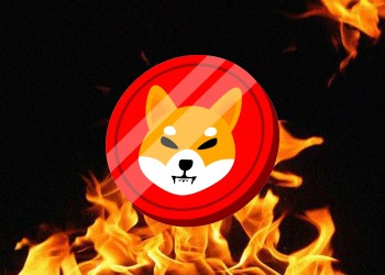 Shiba Inu arrasa: u00a1Sube un 3.674% y desafu00eda a Dogecoin!