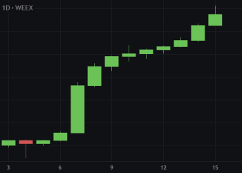 WXT’s 30% Growth: WEEX’s Strategic Success and Future Prospects