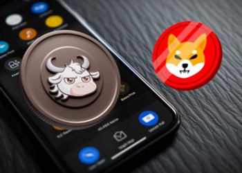 Investors Are Buying This New Crypto After Shiba Inu (SHIB) Dropped 60% From Its Local High