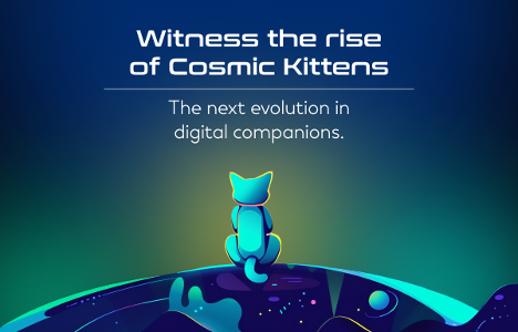 Cosmic Kittens (CKIT) vs. Arbitrum (ARB) vs. Sui (SUI) - The Battle for