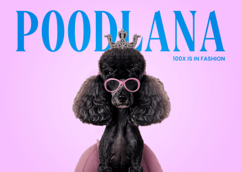 Poodlana Raises $1M On Day One As Crypto Rallies Behind Trump