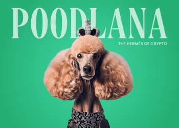 XRP and POODL Rally With Strong Ripple News Today