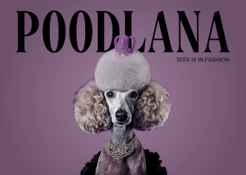 Countdown Begins: Final Week of Poodlana’s $5.1m Presale Approaches