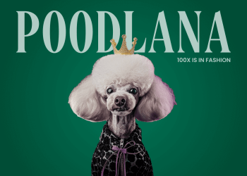 Best New Cryptos to Watch: Top ICOs and Meme Coins in 2024