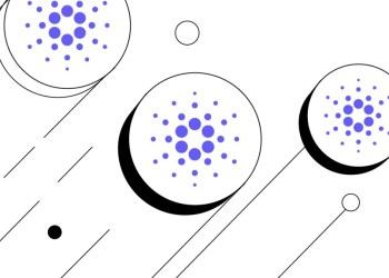Cardano ante un momento decisivo: ¿Es hora de invertir?