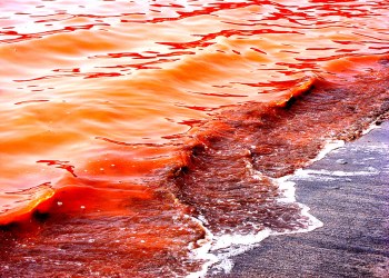 Retroceso del mercado de criptomonedas: Bitcoin y Ethereum caen más del 6% y 7%