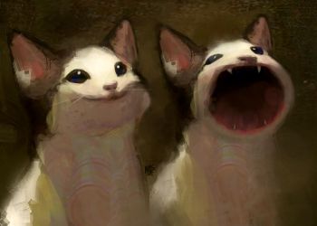 ¡Popcat lidera la revolución de los memecoins de Solana!