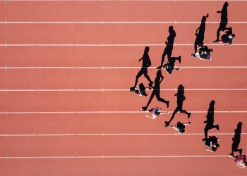 ¡Dogwifhat lidera la recuperación de los memecoins!