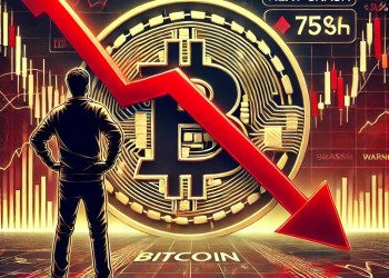 ¡Atención, Bitcoiners! Peter Brandt advierte sobre una posible caída del 75%