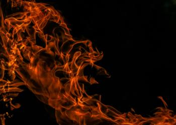 Shiba Inu dispara su tasa de quema un 1.000%, ¡quemando millones!