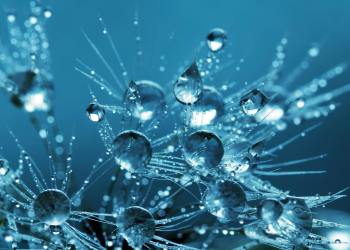 Lido DAO anuncia programa de adopción temprana de participación comunitaria