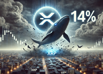 Caída de XRP: Las ballenas transfieren millones a los exchanges