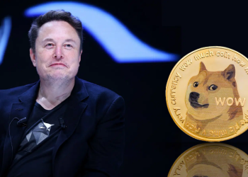 Dogecoin se dispara un 157%: pronósticos y futuro de la criptomoneda en 2024