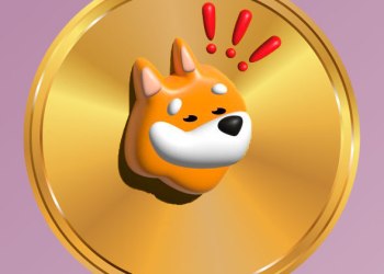 BONK: ¿Recuperación o mayor declive?