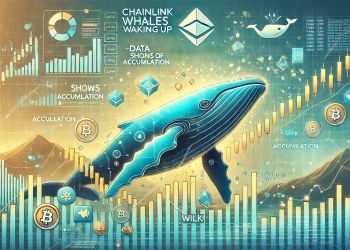 u00a1Las ballenas de Chainlink se estu00e1n acumulando! u00bfEs hora de comprar LINK?