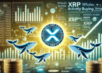 XRP: Acumulación de ballenas y niveles técnicos clave para tener en cuenta