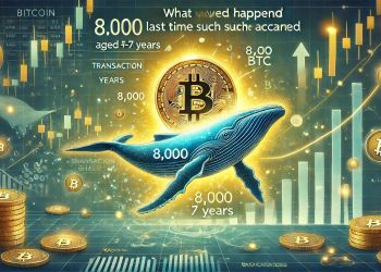 Bitcoin: ¿Recuperación o corrección? Las ballenas mueven sus fichas