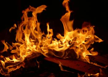 Shiba Inu arde: la tasa de quema se dispara un 7.418%