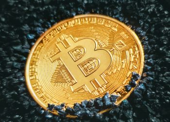 Bitcoin: Analista predice un máximo histórico en 2025 seguido de una caída a 50.000 dólares en 2026