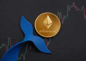 La fusión de Ethereum dispara el aumento de las tenencias de ballenas, lo que indica un futuro alcista