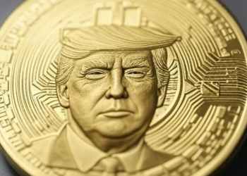 Las meme coins favoritas de Trump: ¿Cuáles explotarán en 2025?