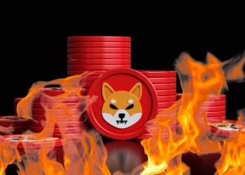 Shiba Inu: Optimismo renovado y quema récord impulsan el interés de los inversores