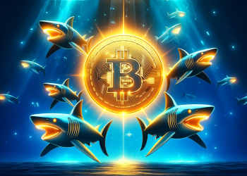 ¡Los tiburones de Bitcoin se están preparando para una corrida alcista!