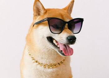 DOGE To $1.35? Analyst Predicts Milestone ‘Within 70 Days’